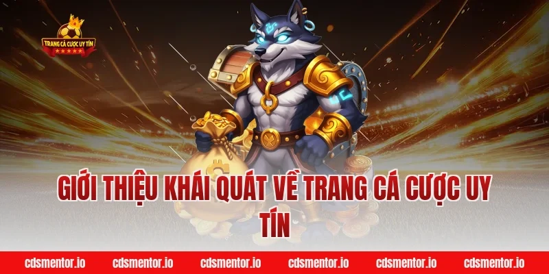 Giới thiệu khái quát về trang cá cược uy tín
